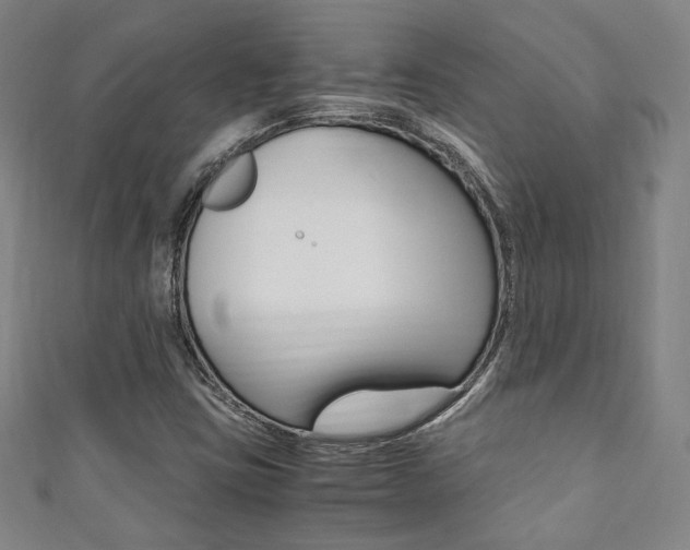 X0000111351403200907100925