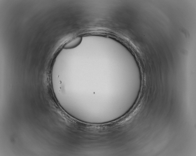 X0000111351405200907100925