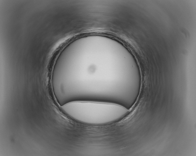 X0000111351406200907100925