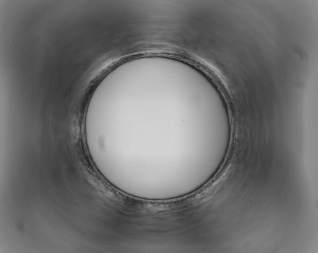 X0000111351407200907100925