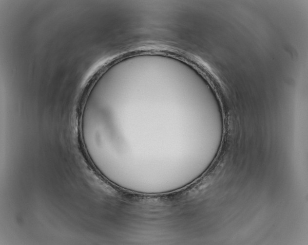 X0000111351408200907100925