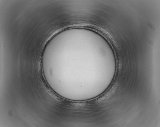X0000111351409200907100925