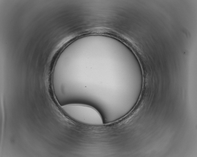 X0000111351410200907100925