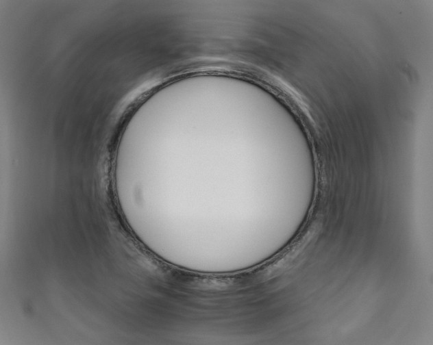 X0000111351411200907100925