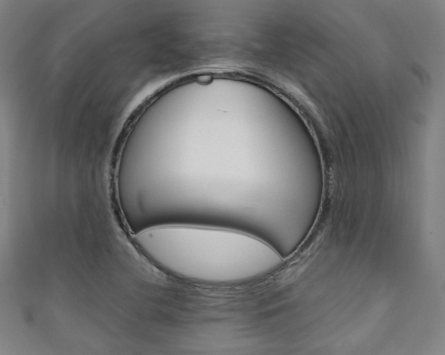 X0000111351412200907100925