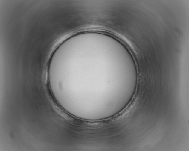 X0000111351413200907100925
