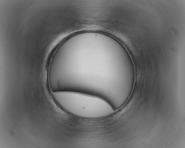 X0000111351414200907100925