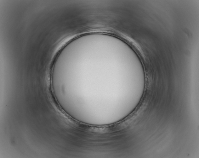 X0000111351415200907100925
