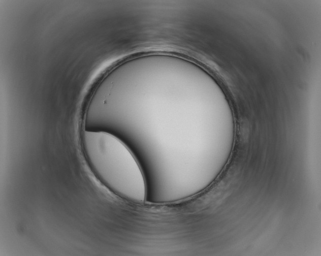 X0000111351416200907100925