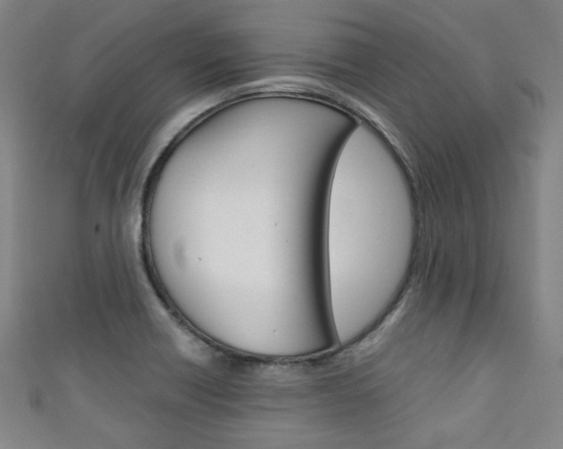X0000111351418200907100925