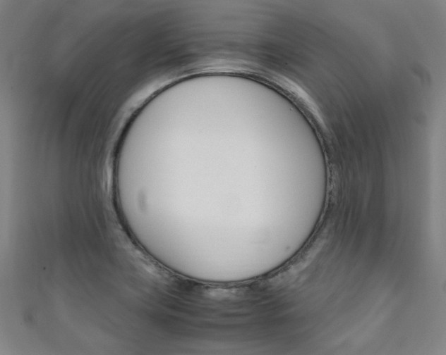 X0000111351419200907100925