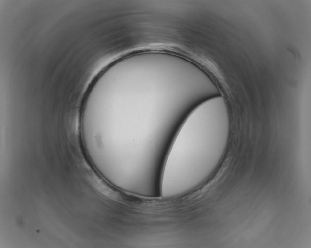 X0000111351420200907100925