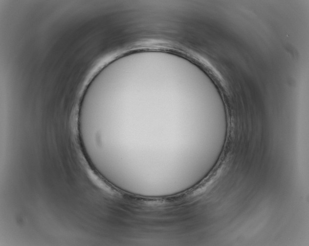 X0000111351421200907100925