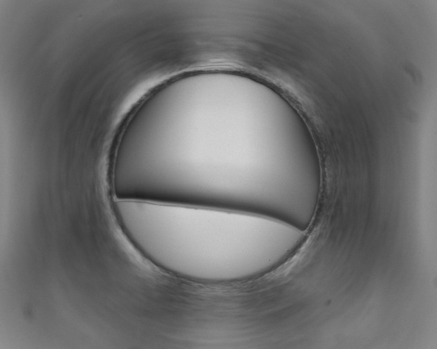 X0000111351422200907100925