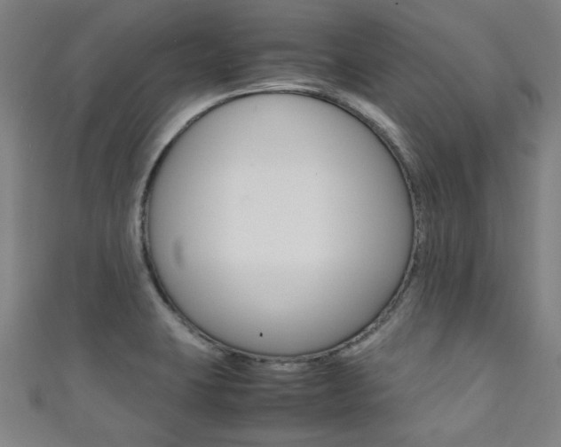 X0000111351423200907100925