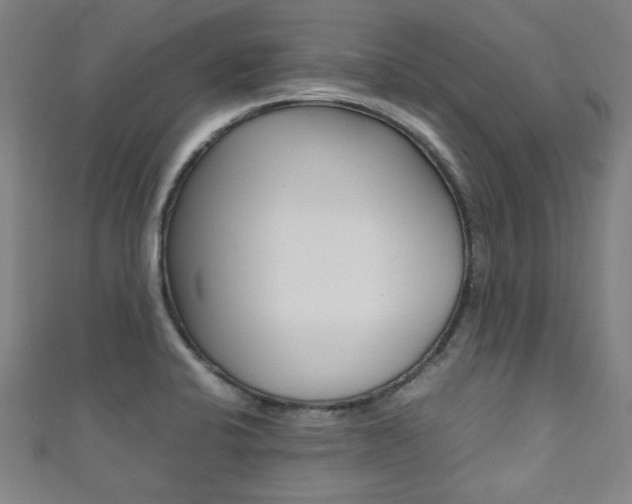 X0000111351424200907100925