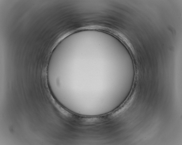 X0000111351425200907100925