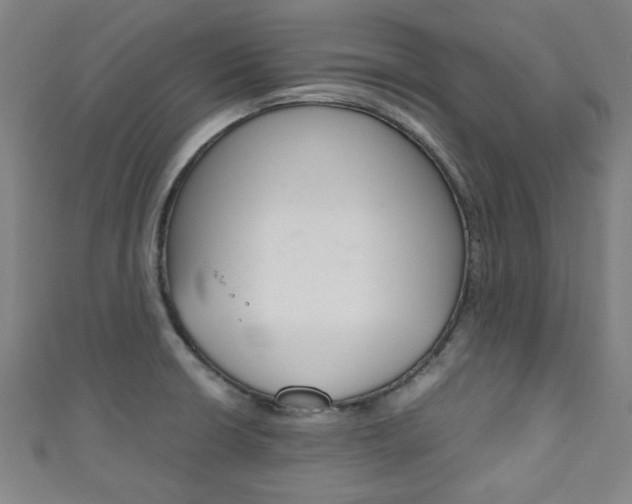 X0000111351426200907100925