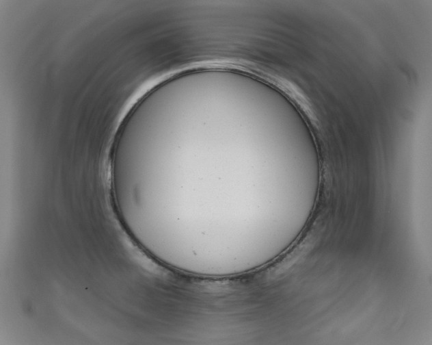 X0000111351428200907100925