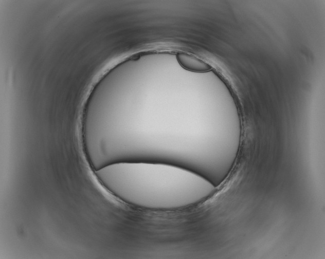 X0000111351429200907100925