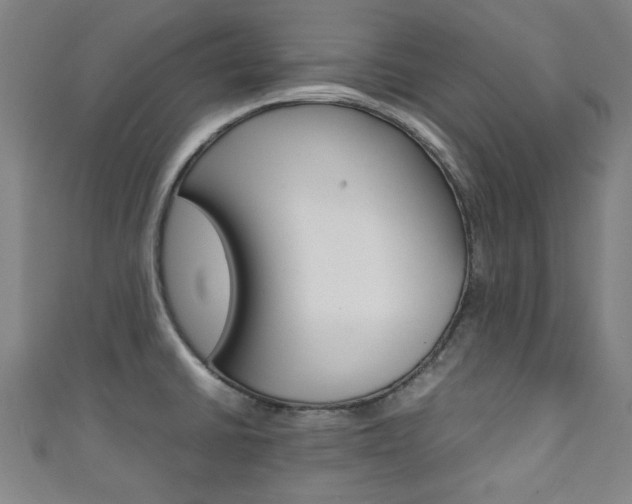 X0000111351430200907100925