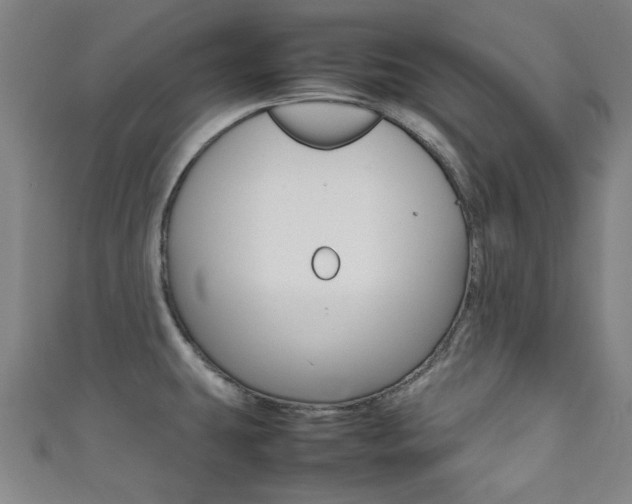 X0000111351431200907100925