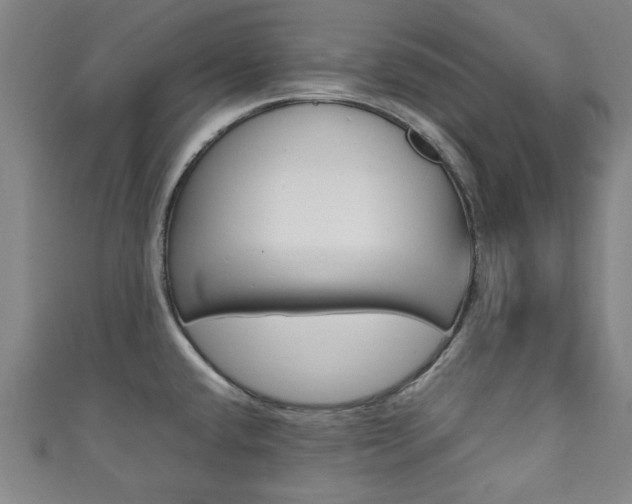 X0000111351432200907100925
