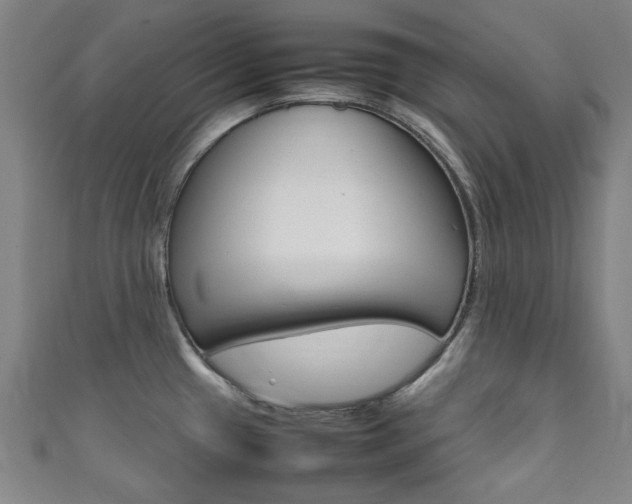 X0000111351433200907100925