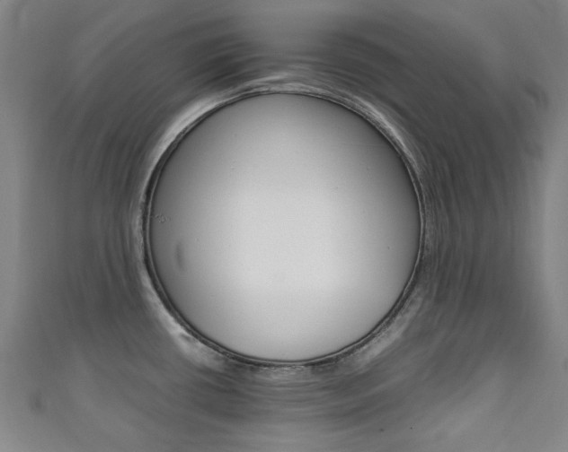 X0000111351434200907100925