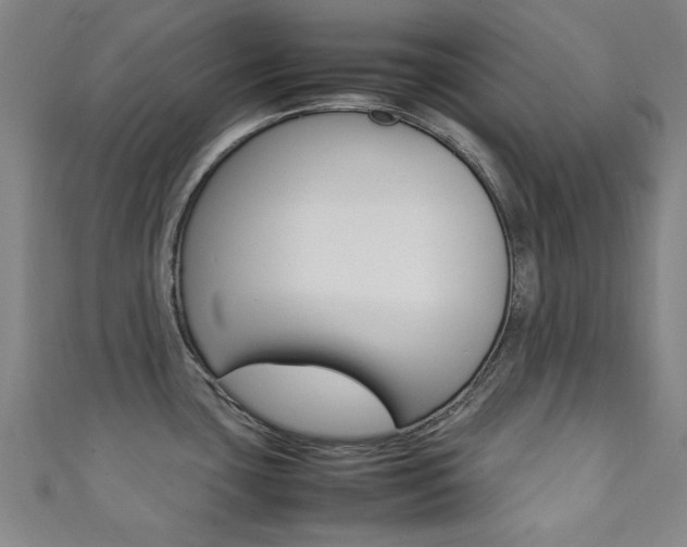 X0000111351435200907100925