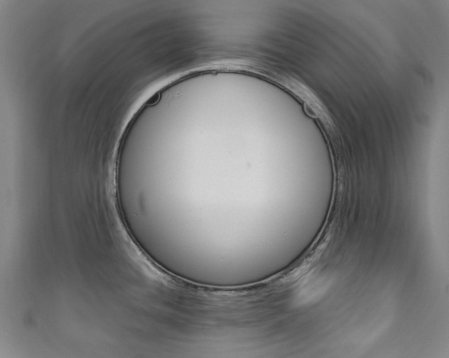 X0000111351436200907100925