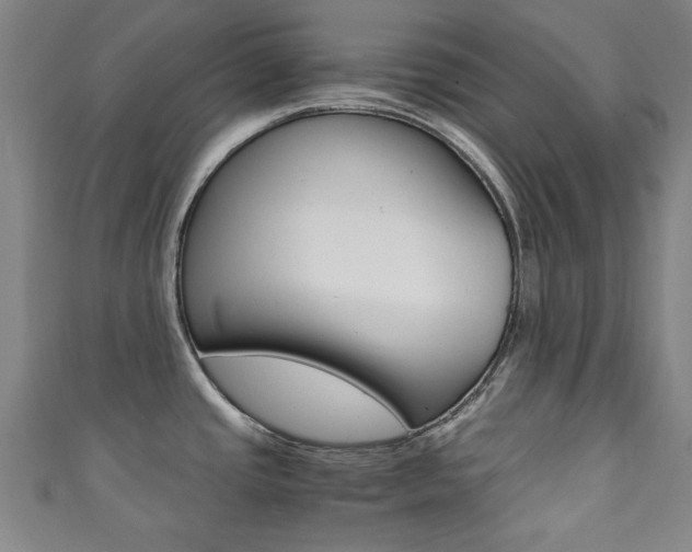 X0000111351437200907100925