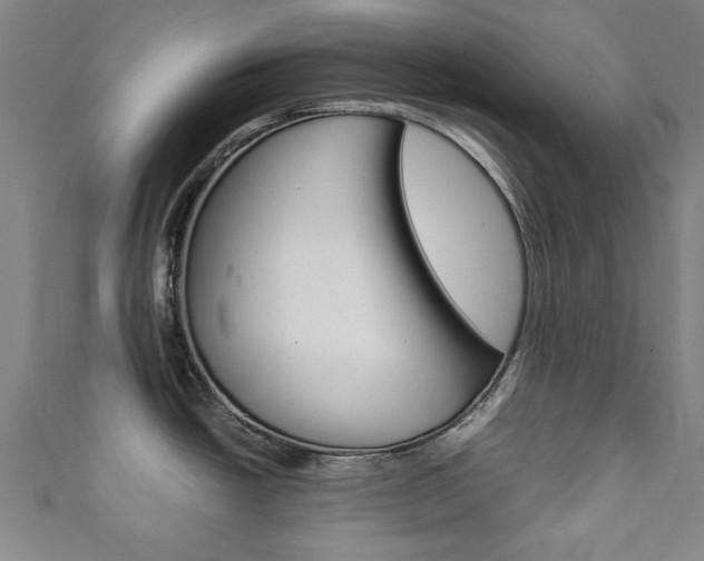 X0000111351438200907100926