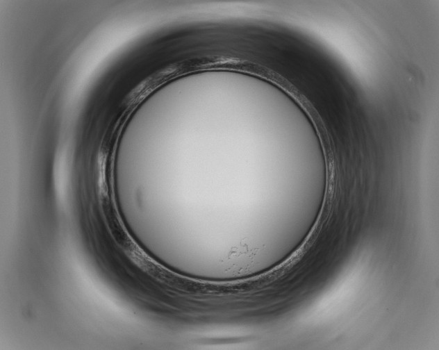 X0000111351439200907100926
