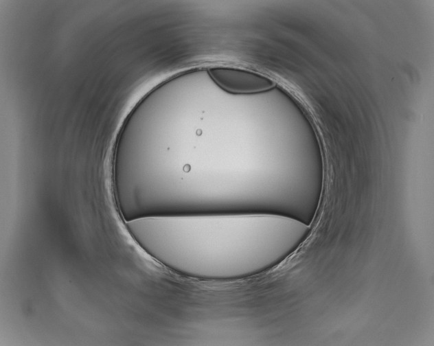 X0000111351440200907100926