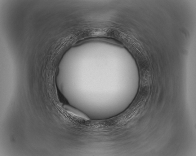 X0000111351441200907100925