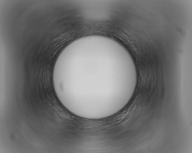 X0000111351442200907100925