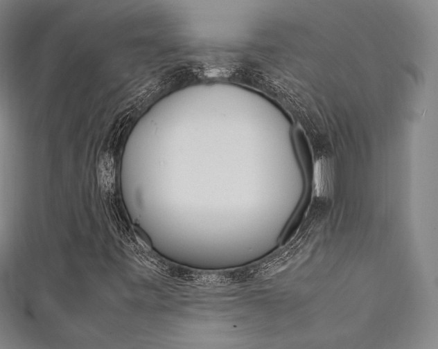 X0000111351443200907100925