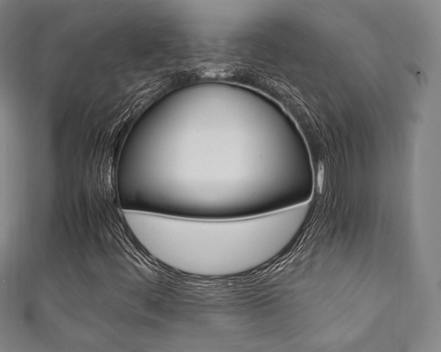 X0000111351444200907100925