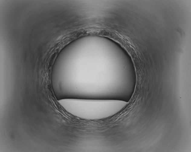 X0000111351445200907100925