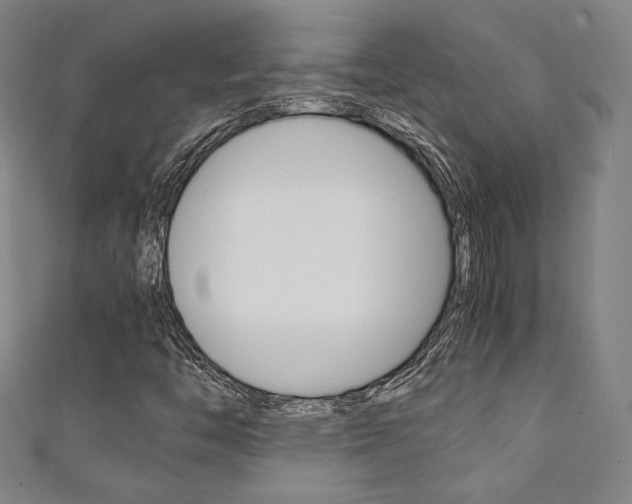 X0000111351446200907100925
