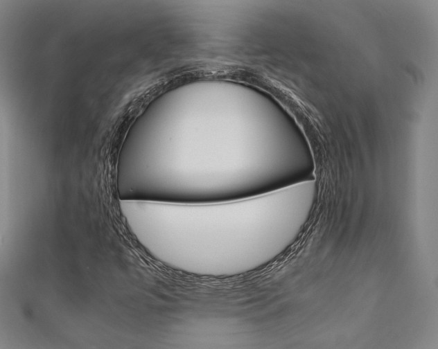 X0000111351447200907100925
