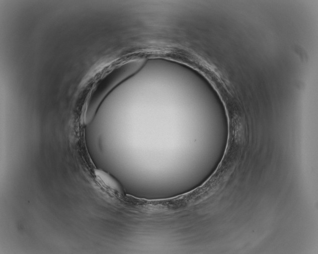 X0000111351448200907100925