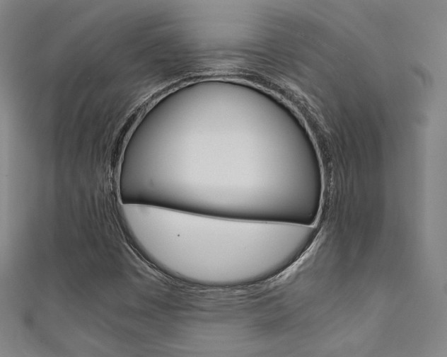 X0000111351449200907100925