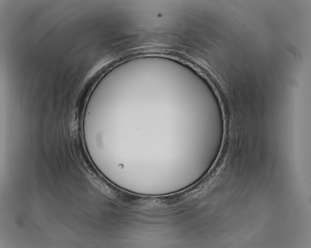 X0000111351450200907100925