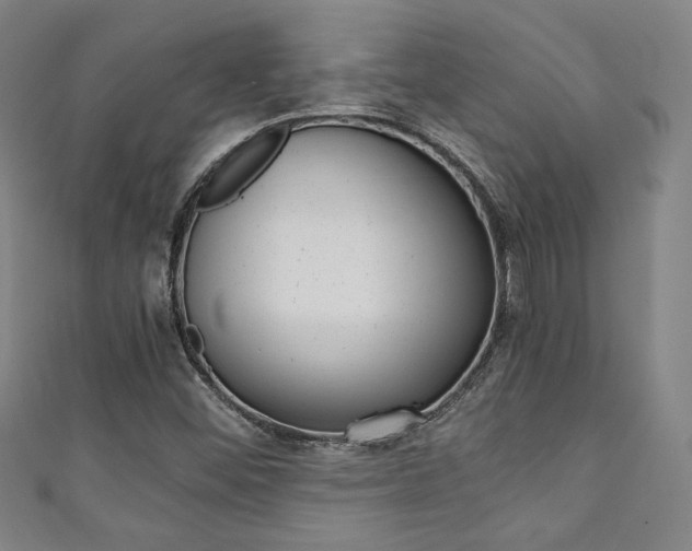 X0000111351452200907100925
