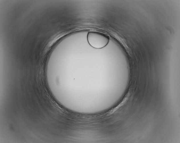 X0000111351453200907100925