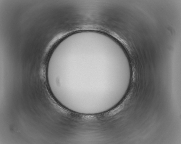 X0000111351454200907100925