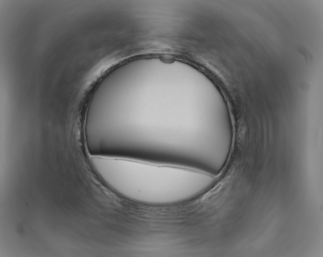 X0000111351455200907100925