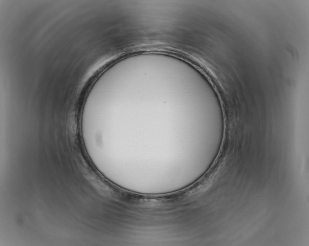 X0000111351458200907100925